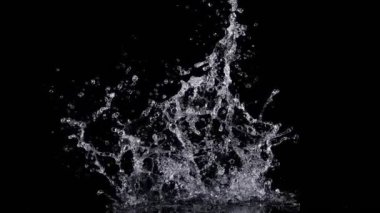 Super Slow Motion Shot of Real Water Splash Explosion from Isolated on Black at 1000fps. Filmed on high speed cinema camera in 4k..