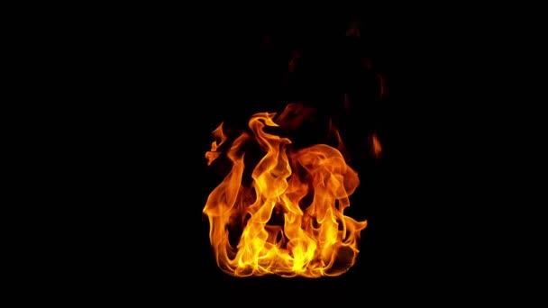 Super Slow Motion Shot Von Real Fire Flame Isoliert Auf — Stockvideo