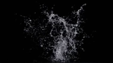 Super Slow Motion Shot of Real Water Splash Explosion from Isolated on Black at 1000fps. Filmed on high speed cinema camera in 4k..
