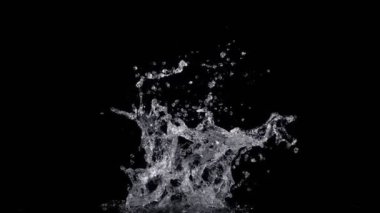 Super Slow Motion Shot of Real Water Splash Explosion from Isolated on Black at 1000fps. Filmed on high speed cinema camera in 4k..