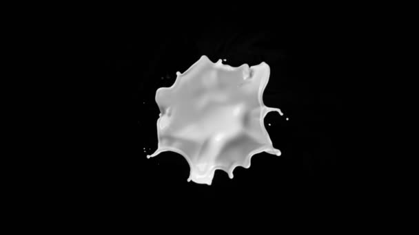Super Slow Motion Shot Cream Splash Flying Camera Isolated Black — стоковое видео