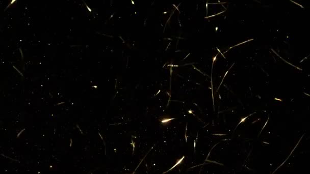Super Slow Motion Shot Golden Finging Confetti Background 1000Fps Съемки — стоковое видео
