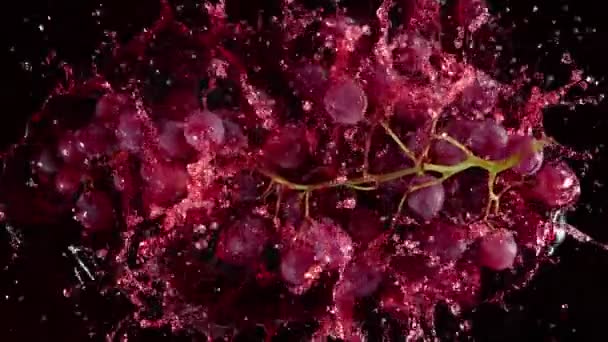 Super Slow Motion Shot Fresh Grape Falling Red Wine Black — Stock video