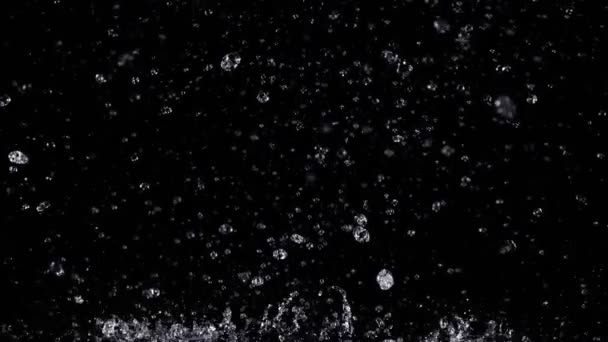 Super Rallentamento Colpo Pioggia Reale Gocce Cadere Isolato Sfondo Nero — Video Stock