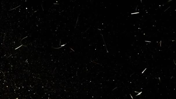 Супер Повільний Рух Золотий Блискучий Тло Confetti 1000 Кадрів Секунду — стокове відео