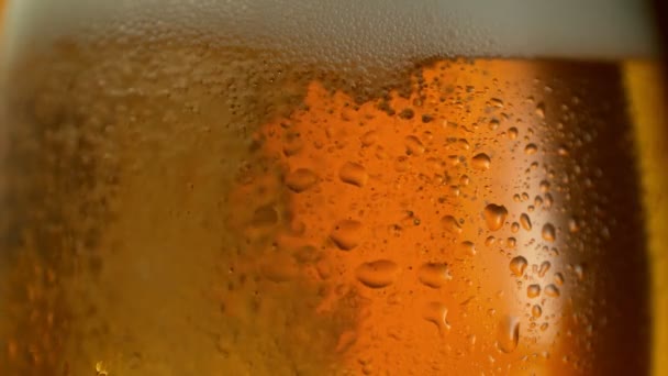 Super Slow Motion Detail Shot Fizzing Fresh Beer 1000Fps Filmed — Stock Video