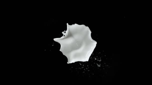 Super Slow Motion Shot Cream Splash Flying Camera Isolated Black — стоковое видео