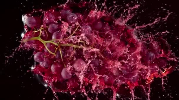Super Slow Motion Shot Fresh Grape Falling Red Wine Black — Vídeos de Stock