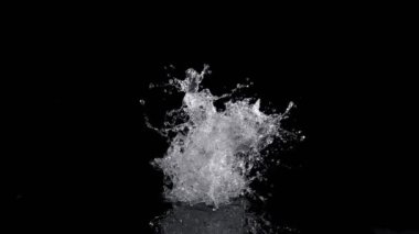 Super Slow Motion Shot of Real Water Splash Explosion from Isolated on Black at 1000fps. Filmed on high speed cinema camera in 4k..