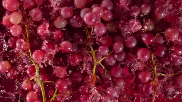 Super Slow Motion Shot Fresh Grape Falling Red Wine Purple — Wideo stockowe