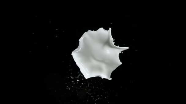 Super Slow Motion Shot Cream Splash Flying Camera Απομονωμένο Μαύρο — Αρχείο Βίντεο