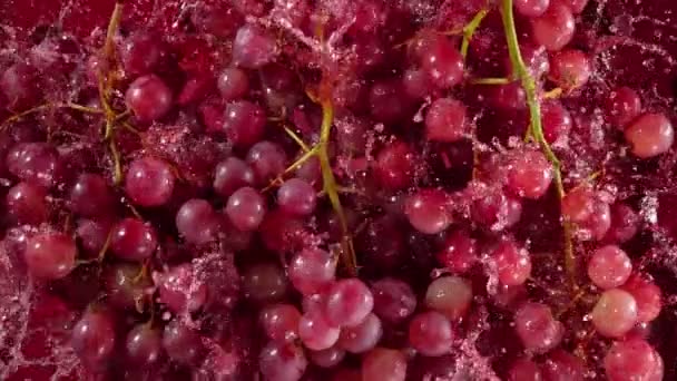 Süper Yavaş Çekim Taze Üzüm Kırmızı Şaraba Düşerken Mor Arkaplanda — Stok video