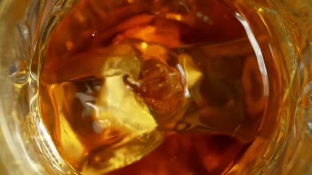 Super Slow Motion Detail Shot Drop Falling Glass Whiskey Ice — Stockvideo