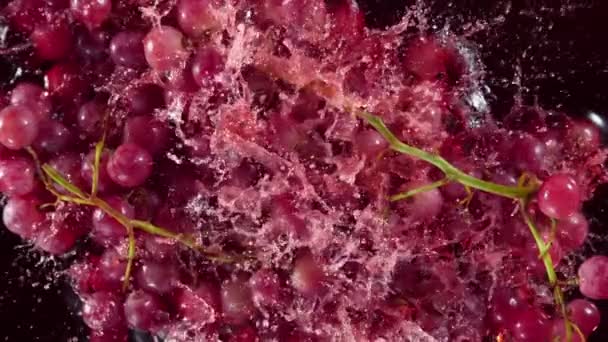 超慢运动的新鲜葡萄在黑色背景下以1000 Fps的速度掉进红葡萄酒中 用4K高速电影摄影机拍摄 — 图库视频影像