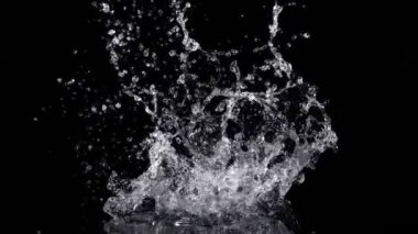 Super Slow Motion Shot of Real Water Splash Explosion from Isolated on Black at 1000fps. Filmed on high speed cinema camera in 4k..