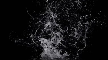 Super Slow Motion Shot of Real Water Splash Explosion from Isolated on Black at 1000fps. Filmed on high speed cinema camera in 4k..