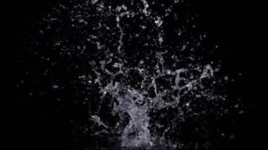 Super Slow Motion Shot of Real Water Splash Explosion from Isolated on Black at 1000fps. Filmed on high speed cinema camera in 4k..