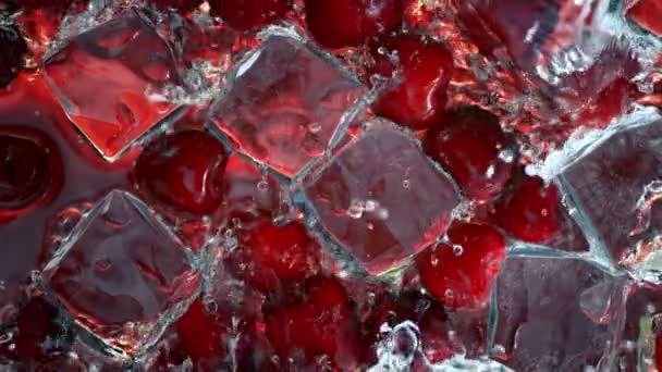 Супер Повільний Рух Хвилі Розщеплення Вишнях Кубиках Льоду Швидкістю 1000 — стокове відео
