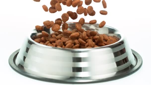 Super Slow Motion Shot Dog Food Falling Bowl Isolated White — Stock Video