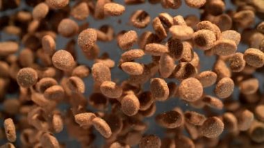 Karanlık Arkaplan 'da kameraya doğru uçan köpek mamasının süper yavaş çekim çekimi. Yüksek Hız Sinema Kamerası, 4k.