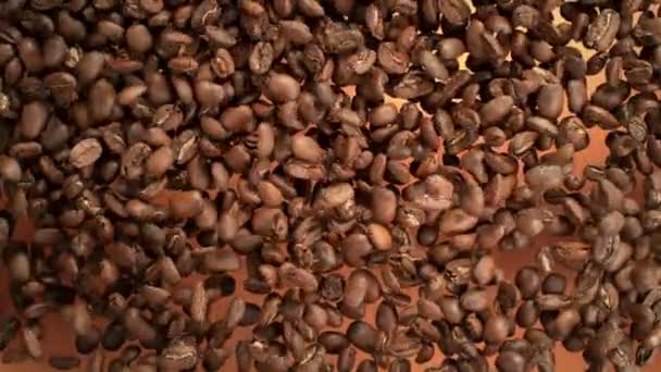 Super Slow Motion Shot Falling Premium Coffee Beans Při 1000Fps — Stock video