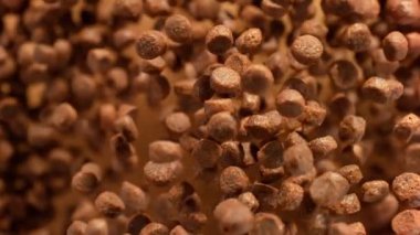 Kahverengi Arkaplan 'daki Kameraya doğru uçan evcil hayvan mamasının süper yavaş çekimi. Yüksek Hız Sinema Kamerası, 4k.