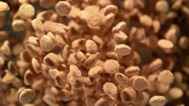 Kahverengi Arkaplan 'daki kameraya doğru uçan köpek mamasının süper yavaş çekim çekimi. Yüksek Hız Sinema Kamerası, 4k.