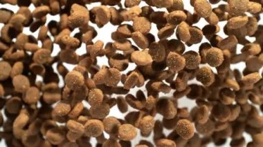 Beyaz Arkaplan 'daki kameraya doğru uçan köpek mamasının süper yavaş çekim çekimi. Yüksek Hız Sinema Kamerası, 4k.