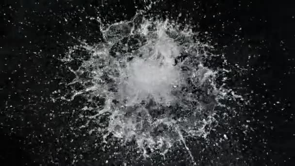 Super Slow Motion Shot Water Splash Aislado Sobre Fondo Negro — Vídeos de Stock