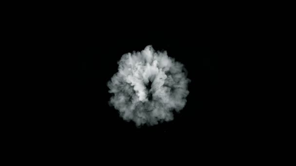 以1000Fps的速度向被隔离在黑暗中的相机发射了超慢运动的圆形烟雾爆炸 用高速电影摄影机拍摄 — 图库视频影像
