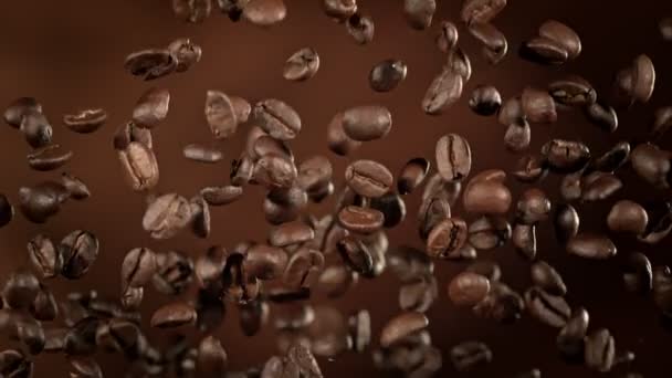 Super Slow Motion Colpo Flying Premium Chicchi Caffè Sfondo Marrone — Video Stock