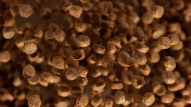 Kahverengi Arkaplan 'daki Kameraya doğru uçan evcil hayvan mamasının süper yavaş çekimi. Yüksek Hız Sinema Kamerası, 4k.