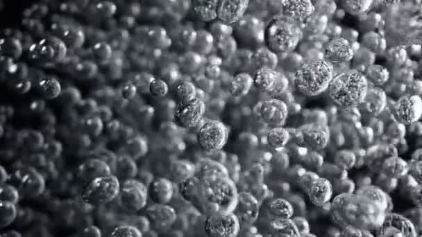 Super Slow Motion Macro Shot Van Diverse Bubbels Stijgen Naar — Stockvideo