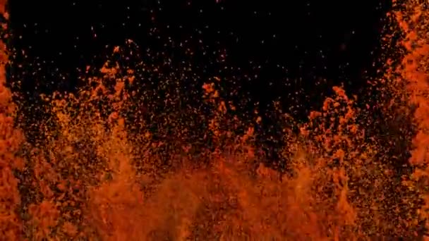 1000Fpsの黒い背景の乾燥した赤いペッパーの粉の極度の遅い動きショット 4Kで高速シネマカメラで撮影された — ストック動画