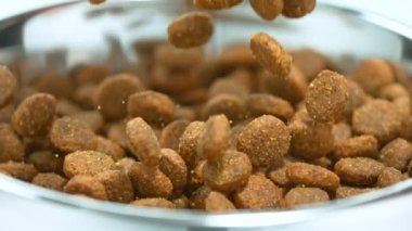 Super Slow Motion Detail Shot Dog Food 'un 1000fps' de Bowl 'a düşüşü. Yüksek Hız Sinema Kamerası, 4k.