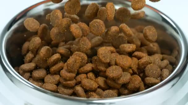 Super Slow Motion Detail Shot Dog Food Falling Bowl Скорости — стоковое видео