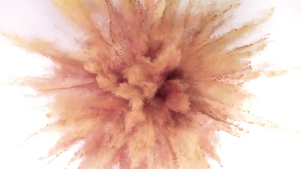 Super Slow Motion Shot Van Brown Powder Explosie Geïsoleerd Witte — Stockvideo