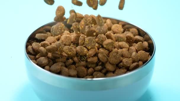 Super Slow Motion Shot Dog Food Caindo Blue Bowl Isolado — Vídeo de Stock