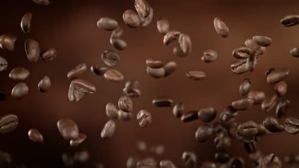 Super Slow Motion Shot Flying Premium Coffee Beans Sobre Fondo — Vídeos de Stock
