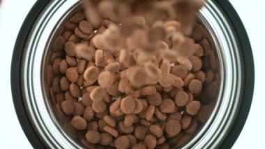 Süper Yavaş Çekim Köpek maması Kasesi 'ne düşüyor. Beyaz Arkaplan' da izole edilmiş. Yüksek Hız Sinema Kamerası, 4k.