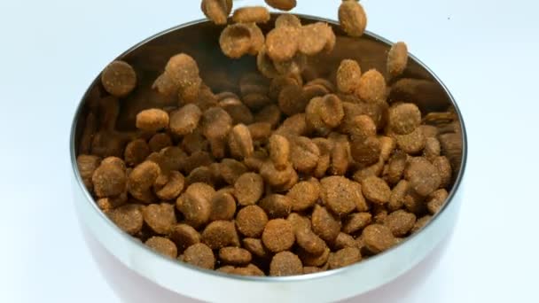 Super Slow Motion Shot Dog Food Falling Bowl Izolowane Białym — Wideo stockowe