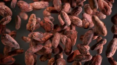 Dönüş ve Uçan Taze Kakao Fasulyelerinin Süper Yavaş Çekimi. 4K 'da Yüksek Hız Sinema Kamerası ile çekildi.