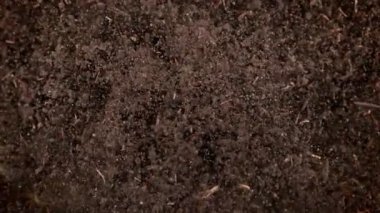 Kameraya doğru 1000fps hızla patlayan toprağın Süper Yavaş Çekimi. Yüksek hızlı sinema kamerasıyla çekildi, 4K.