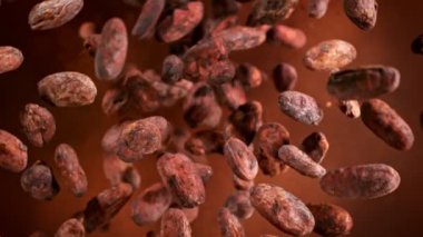 Dönüş ve Uçan Taze Kakao Fasulyelerinin Süper Yavaş Çekimi. 4K 'da Yüksek Hız Sinema Kamerası ile çekildi.
