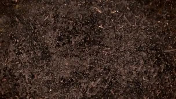 Super Slow Motion Shot Exploding Soil Camera 1000Fps Filmed High — Stock Video