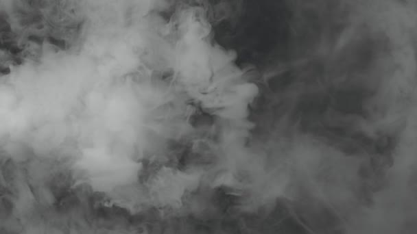 Super Slow Motion Skott Real Smoke Långsamt Flyter Svart Bakgrund — Stockvideo