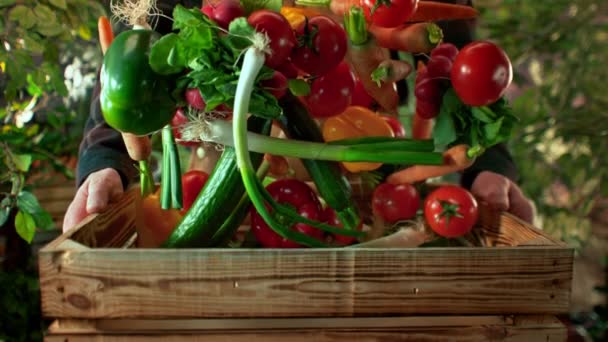 Renkli Sebzelerin Süper Yavaş Çekimi Tahta Kutuya Düşerken Bir Çiftçi — Stok video