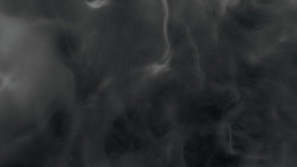 Super Slow Motion Shot Atmospheric Smoke Langzaam Zwevend Zwarte Achtergrond — Stockvideo