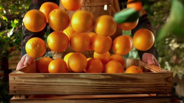 Super Slow Motion Shot Oranges Falling Wooden Box Από Έναν — Αρχείο Βίντεο