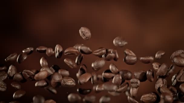 Super Slow Motion Shot Flying Premium Coffee Beans Luxury Brown — Αρχείο Βίντεο